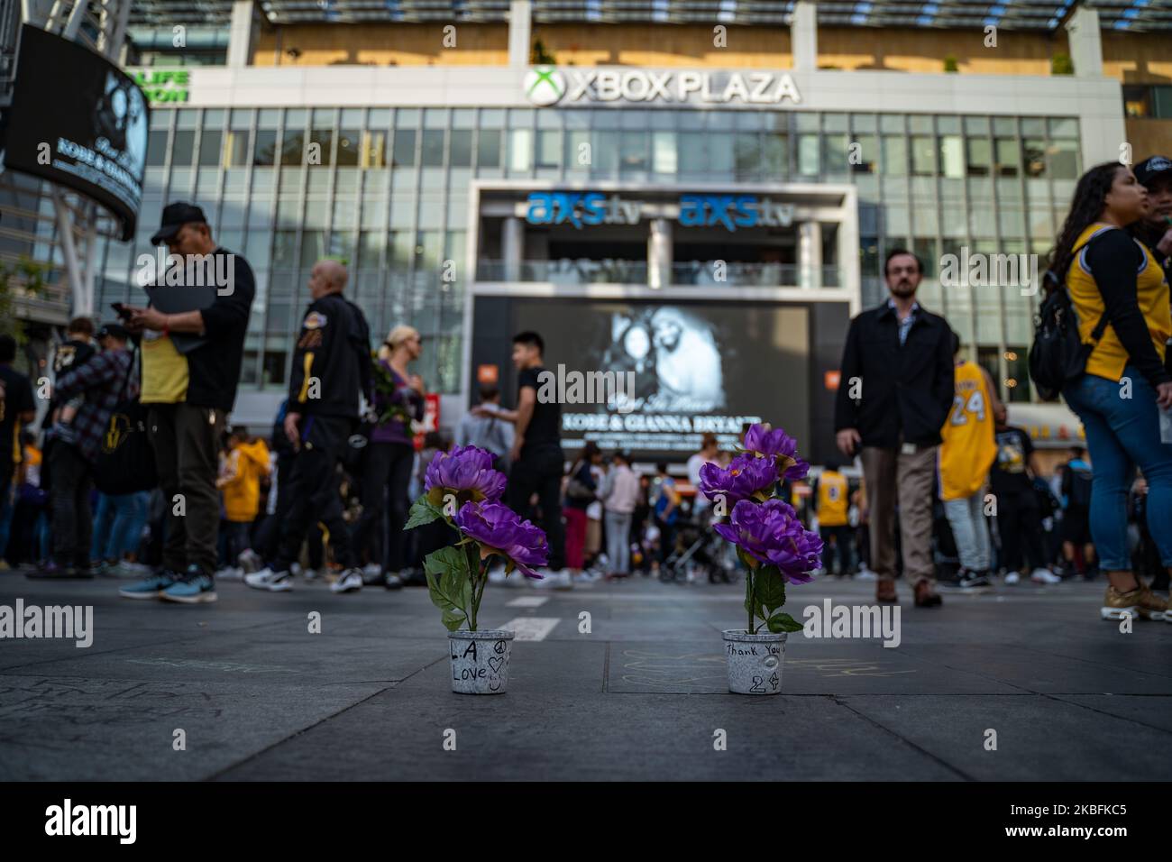 Flowers left in the center of Xbox Plaza for a memorial to Kobe Bryant, his daughter Gianna and all the others that passed away in a helicopter accident on January 27, 2020. (Photo by Brent Combs/NurPhoto) Stock Photo