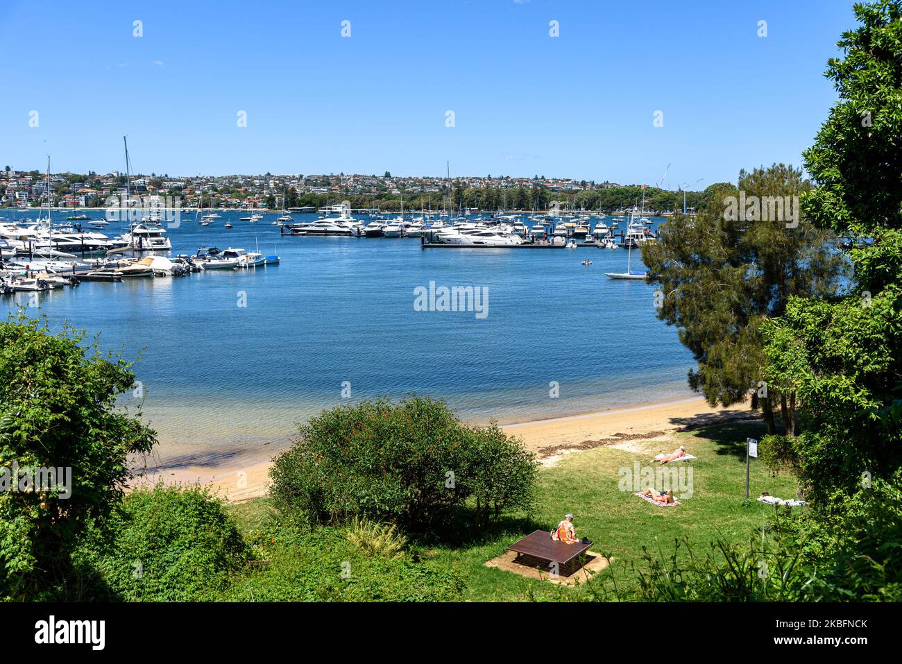 Bellamy Beach on Rose Bay in Sydney, Australia Stock Photo Alamy