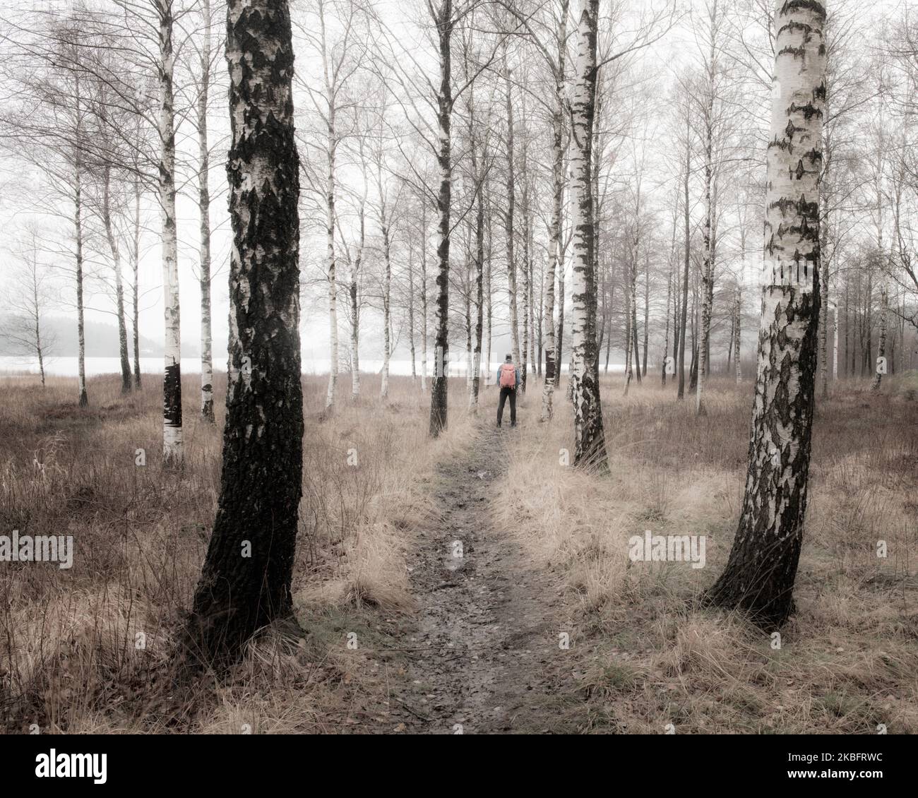 Hiker standing in moody hi-res stock photography and images - Alamy