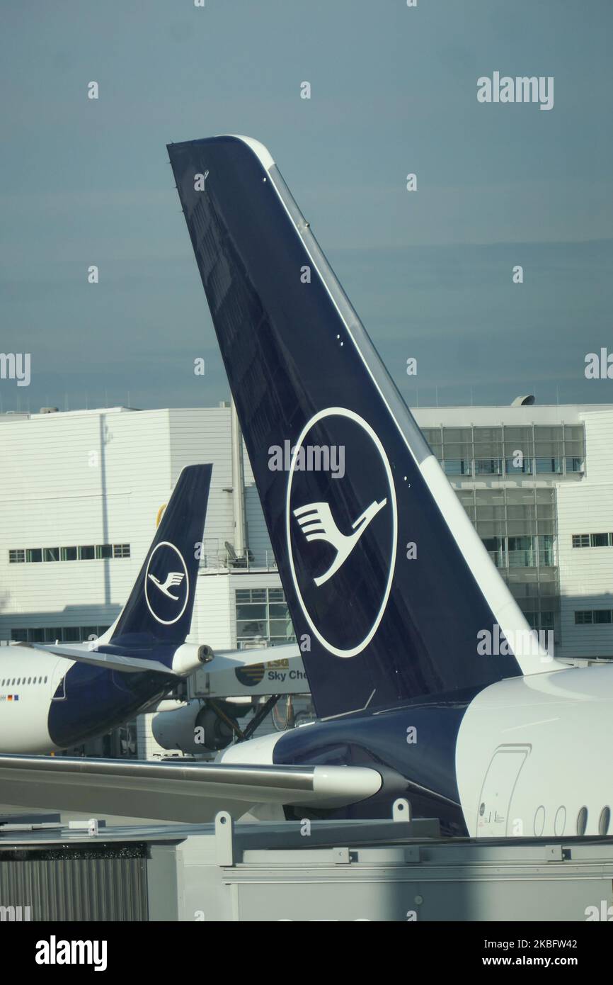 Tails of aircraft with the new Lufthansa livery and logo on the vertical stabilizer, the left aircraft is an Airbus A340 with 4 engines. Early morning airplane traffic movement of Lufthansa aircraft with their logo visible on the tarmac and docked via jetbridge or air bridge at the terminal at Munich MUC EDDM international airport in Bavaria, Germany, Flughafen München in German. Deutsche Lufthansa DLH LH is the flag carrier and largest airline in Germany using Munich as one of their two hubs. Lufthansa is a Star Alliance aviation alliance member. January 26, 2020 (Photo by Nicolas Economou/Nu Stock Photo