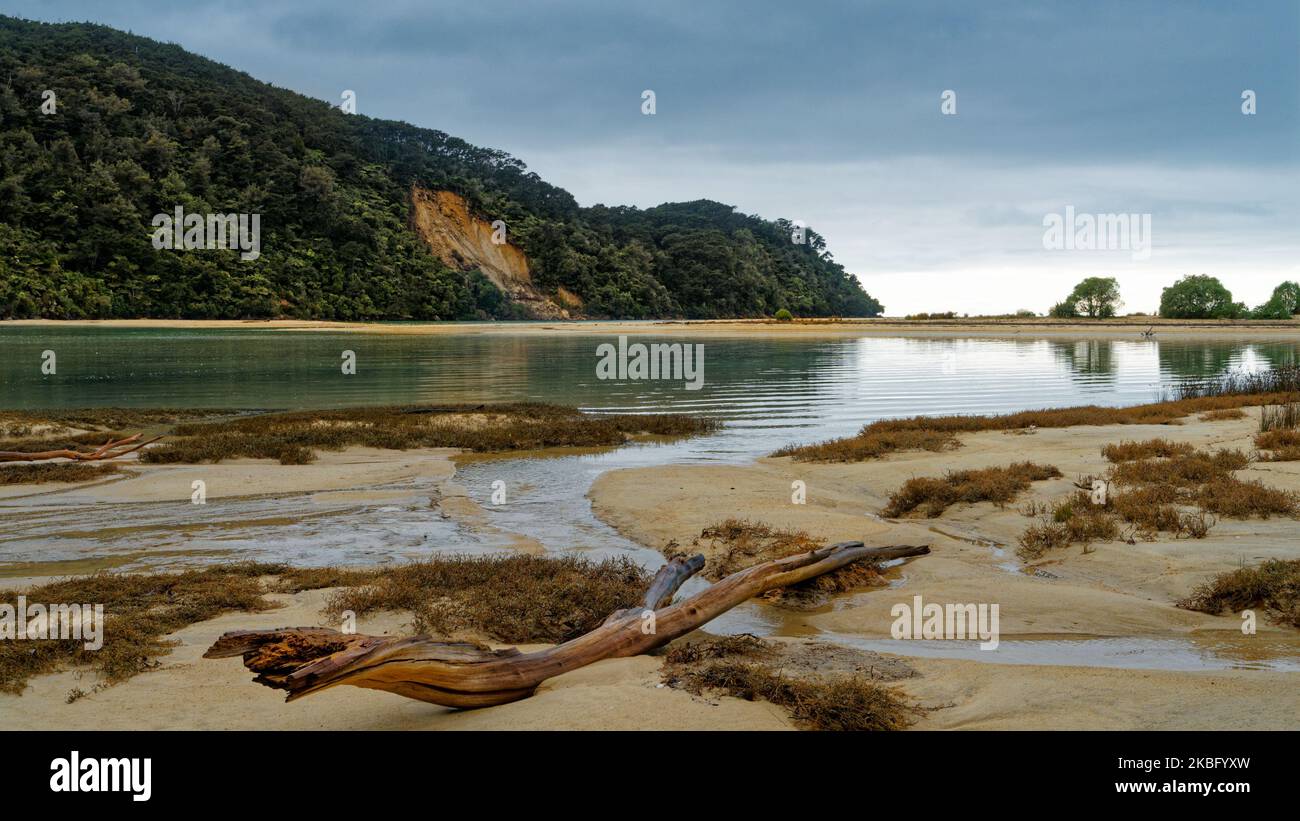 Bark bay estuary in Abel Tasman National Park, Tasman region south island, Aotearoa / New Zealand. Stock Photo