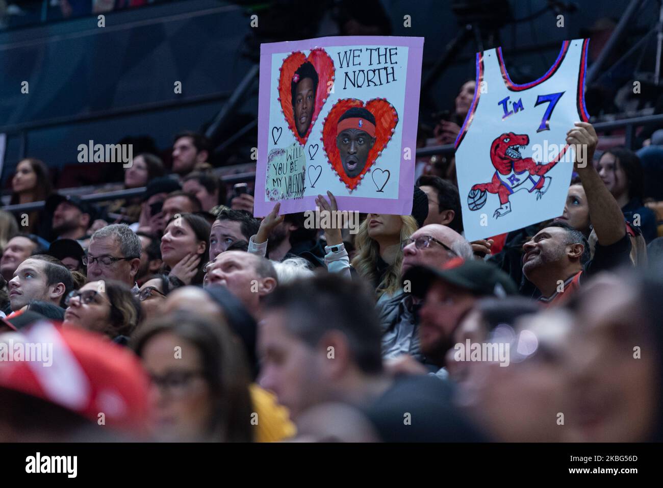 Toronto Raptors fun holds banner during the Toronto Raptors vs Chicago Bulls NBA regular season game at Scotiabank Arena on February 02, 2020 in Toronto, Canada (Toronto Raptors won 129-102) (Photo by Anatoliy Cherkasov/NurPhoto) Stock Photo