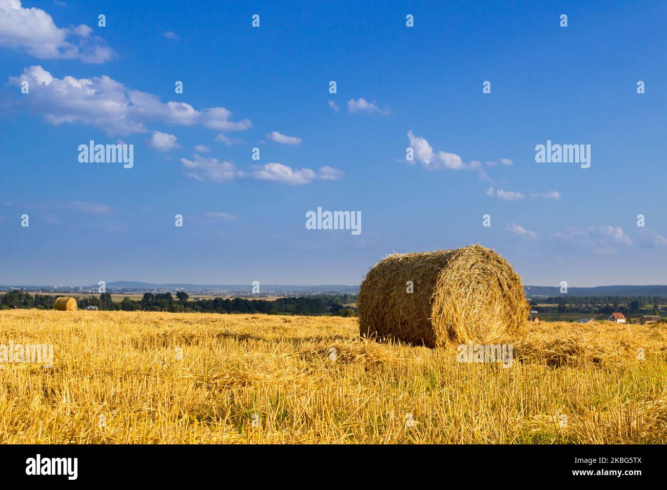 After the wheat harvest, a bale of hay in the field Stock Photo - Alamy