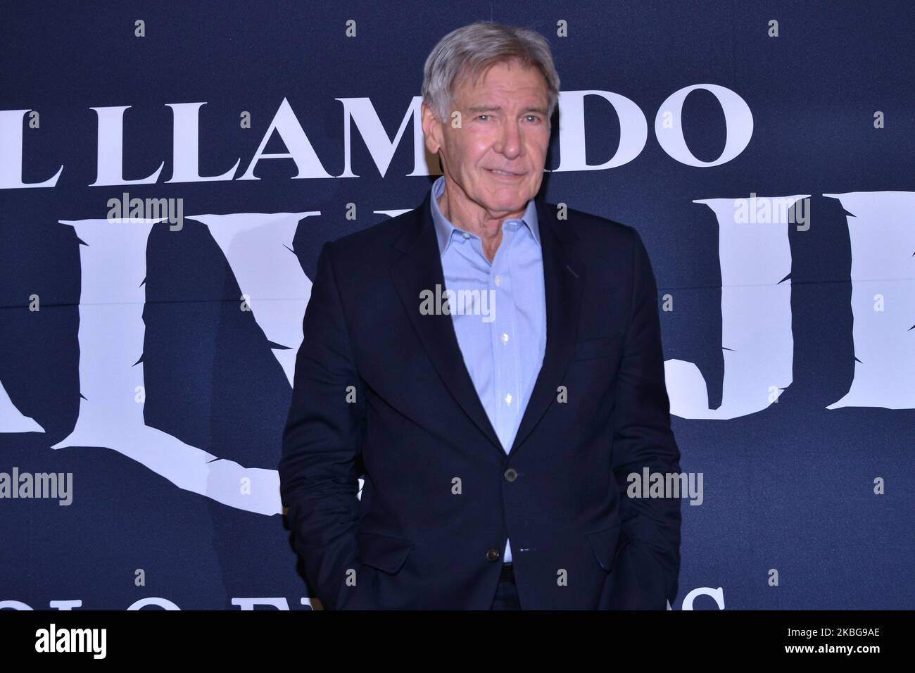 American actor harrison ford poses hi-res stock photography and images ...