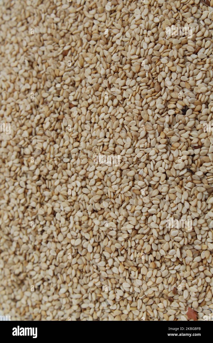 Organic White Sesame seeds (Sesamum indicum) or white Til Stock Photo