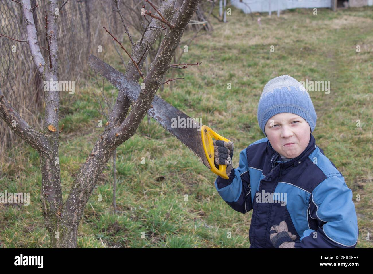 in the spring the boy with a saw cuts off tree branches Stock Photo Alamy