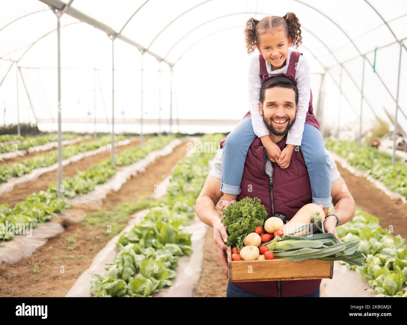 Greenhouse, father and girl with vegetables, happy or fresh produce