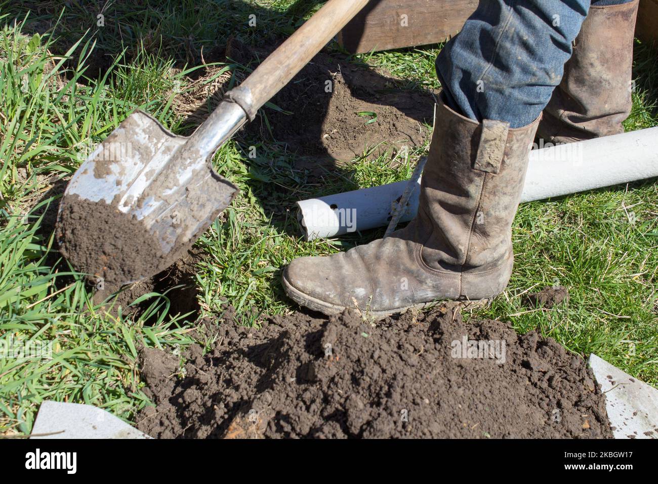 Work in the garden to dig a hole Signor Stock Photo