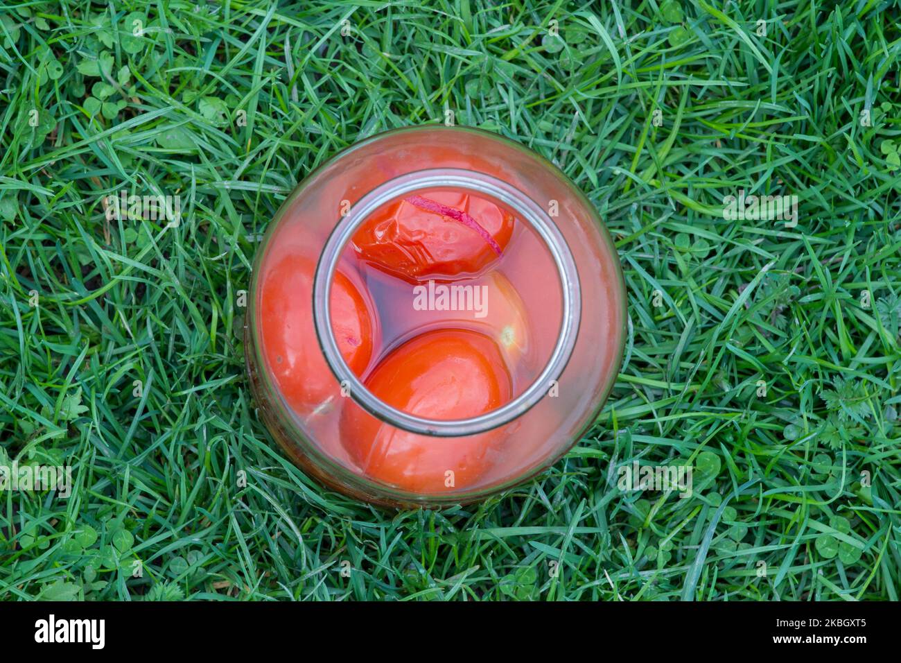 One jar of canned tomatoes on the grass top view Stock Photo Alamy