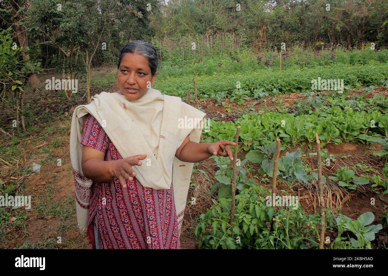 Founder of social organization 'SAMBHAB' (possible) Professor