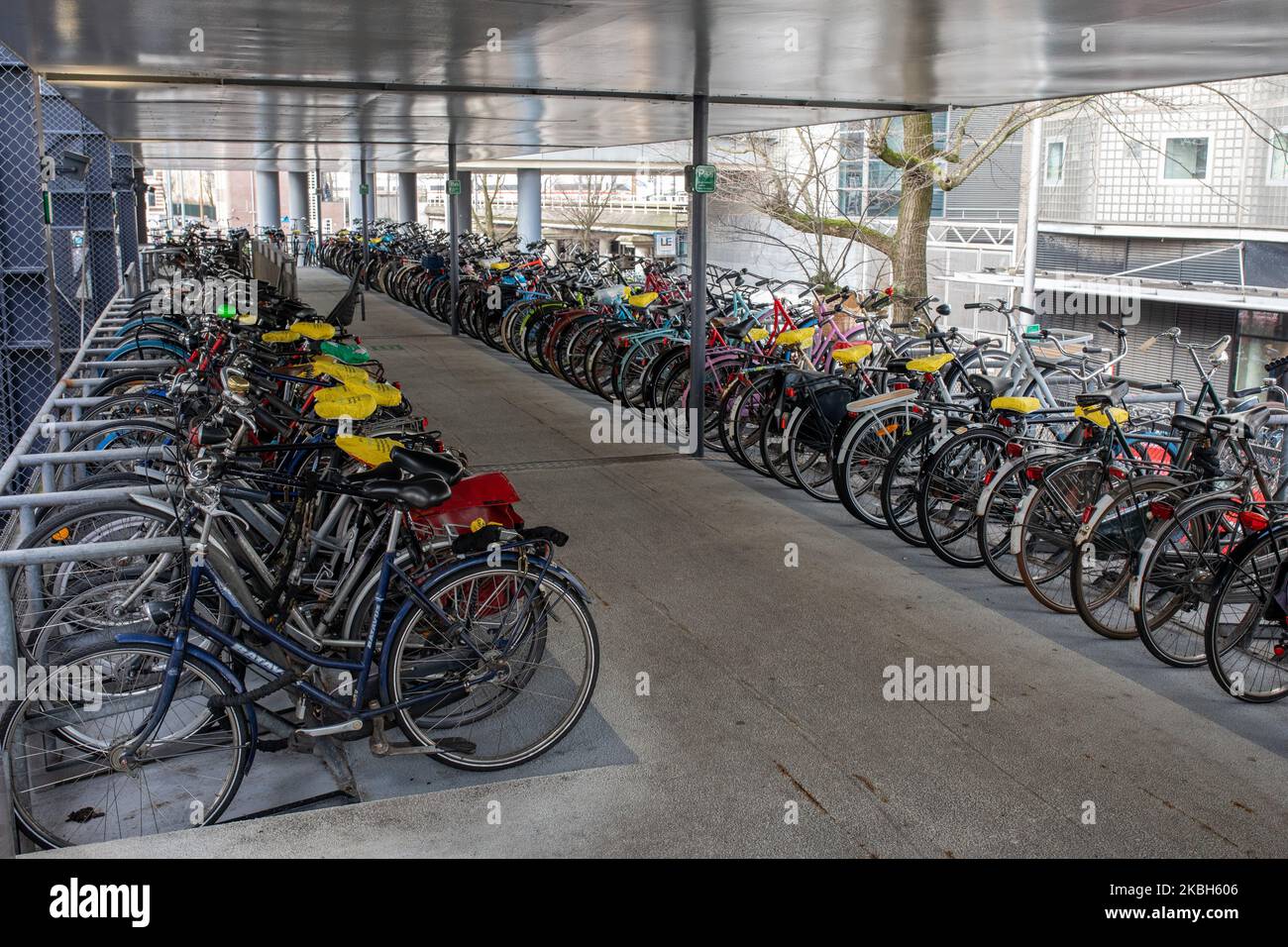 People using bikes in the city and/or electric car charging stations in Amsterdam seen on February 17, 2019. Amsterdam is equipped with an wide network of cycle-paths, so safe and comfortable that even toddlers and elderly people use bikes as the easiest mode of transport. Bikes are commonly used in other cities such as The Hague and Rotterdam. Gasoline and diesel fueled cars and motorcycles will be banned from Amsterdam from 2030 in an effort to clean up the city's air, the Dutch capital's council said in 2019. The use of electric vehicles is increasing in the city. A pass is needed to charge Stock Photo