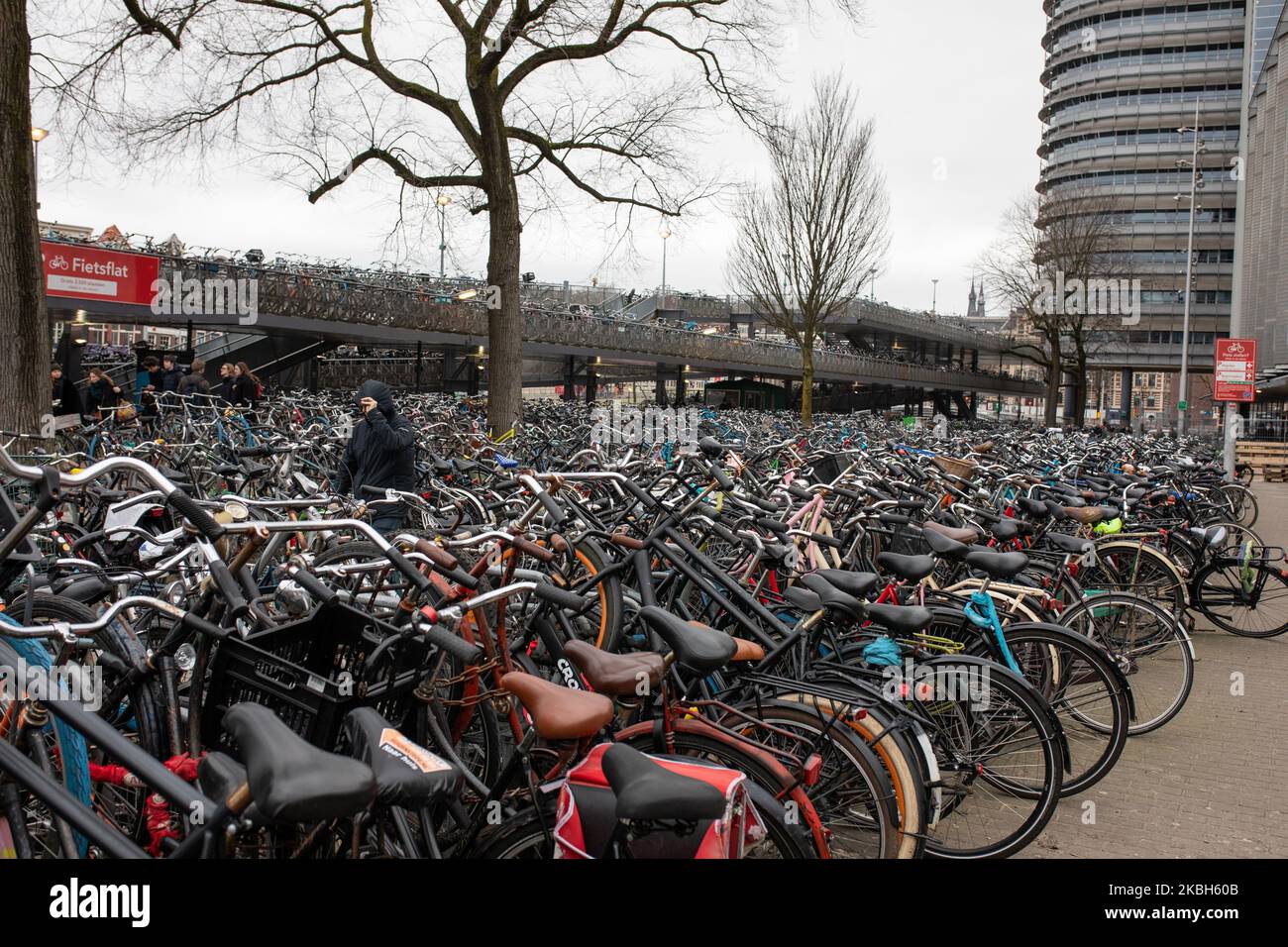 People using bikes in the city and/or electric car charging stations in Amsterdam seen on February 17, 2019. Amsterdam is equipped with an wide network of cycle-paths, so safe and comfortable that even toddlers and elderly people use bikes as the easiest mode of transport. Bikes are commonly used in other cities such as The Hague and Rotterdam. Gasoline and diesel fueled cars and motorcycles will be banned from Amsterdam from 2030 in an effort to clean up the city's air, the Dutch capital's council said in 2019. The use of electric vehicles is increasing in the city. A pass is needed to charge Stock Photo