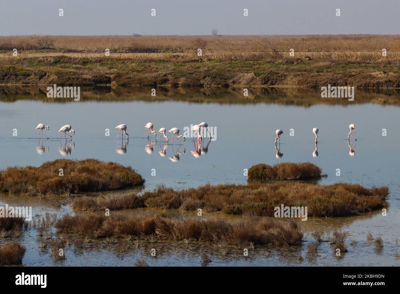 Axios delta national park hi-res stock photography and images - Alamy