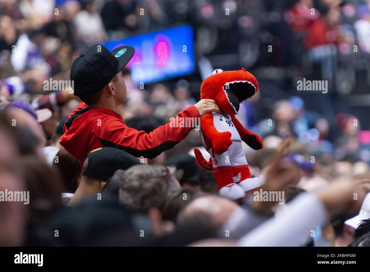 Toronto Raptors young fan holds toy of mascot in his hens during the Toronto Raptors vs Phoenix Sun NBA regular season game at Scotiabank Arena on February 21, 2020 in Toronto, Canada (Toronto Raptors won 118-101) (Photo by Anatoliy Cherkasov/NurPhoto) Stock Photo