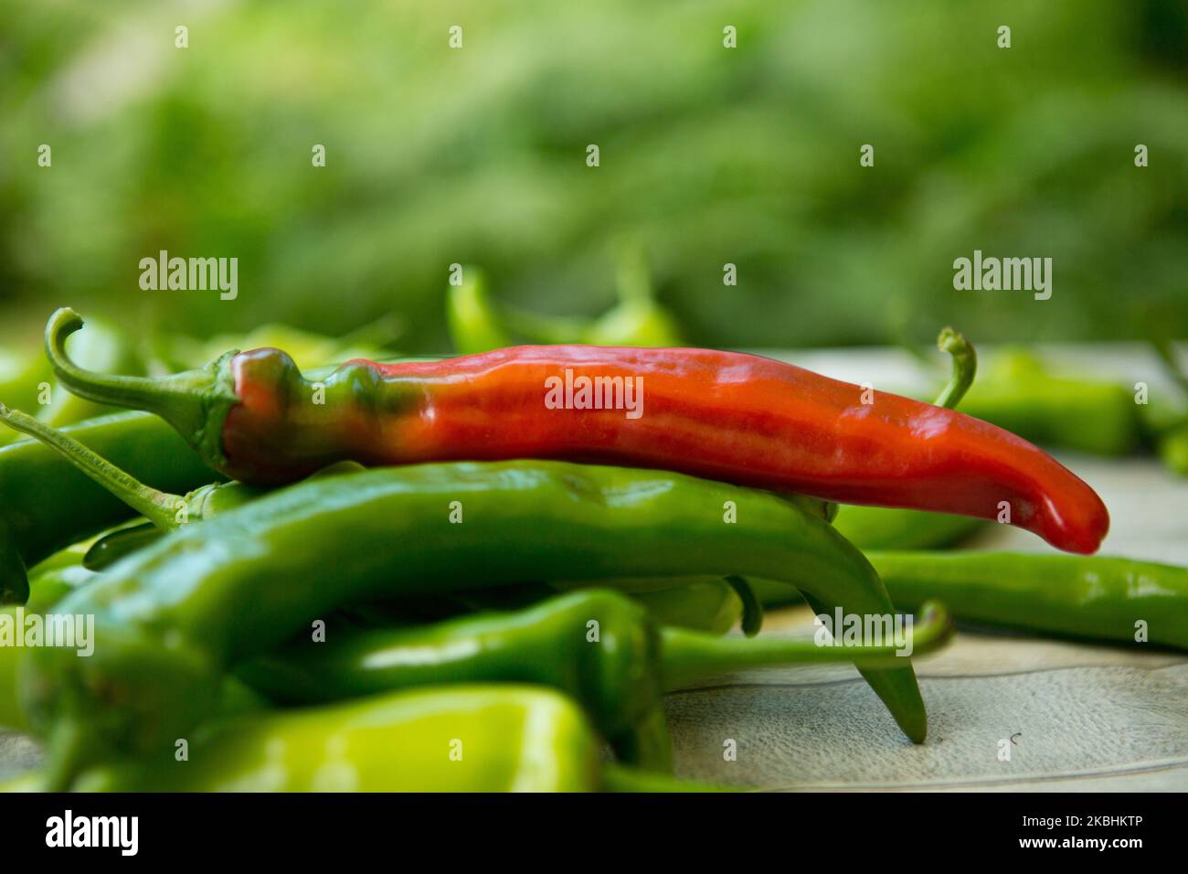 Hot chili pepper on a blurred green background Stock Photo - Alamy