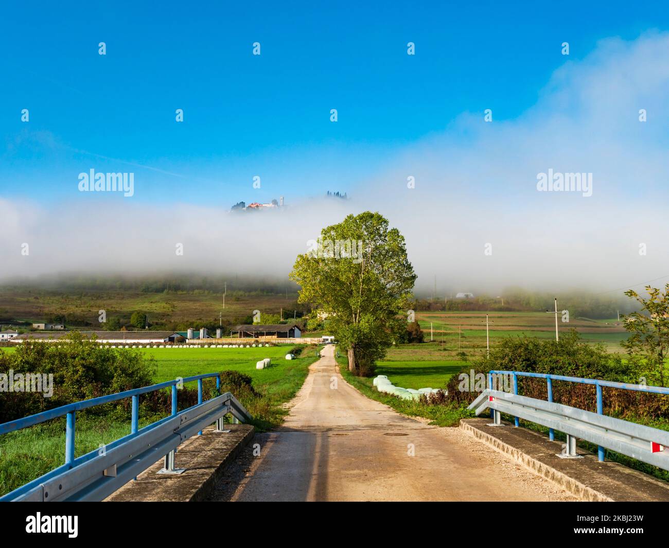 Empty road leading to Motovun old town appearing atop above foggy cloud Stock Photo