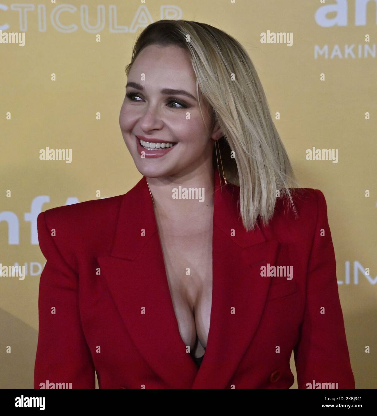Los Angeles United States 03rd Nov 2022 Hayden Panettiere Attends The 2022 Amfar Gala Los