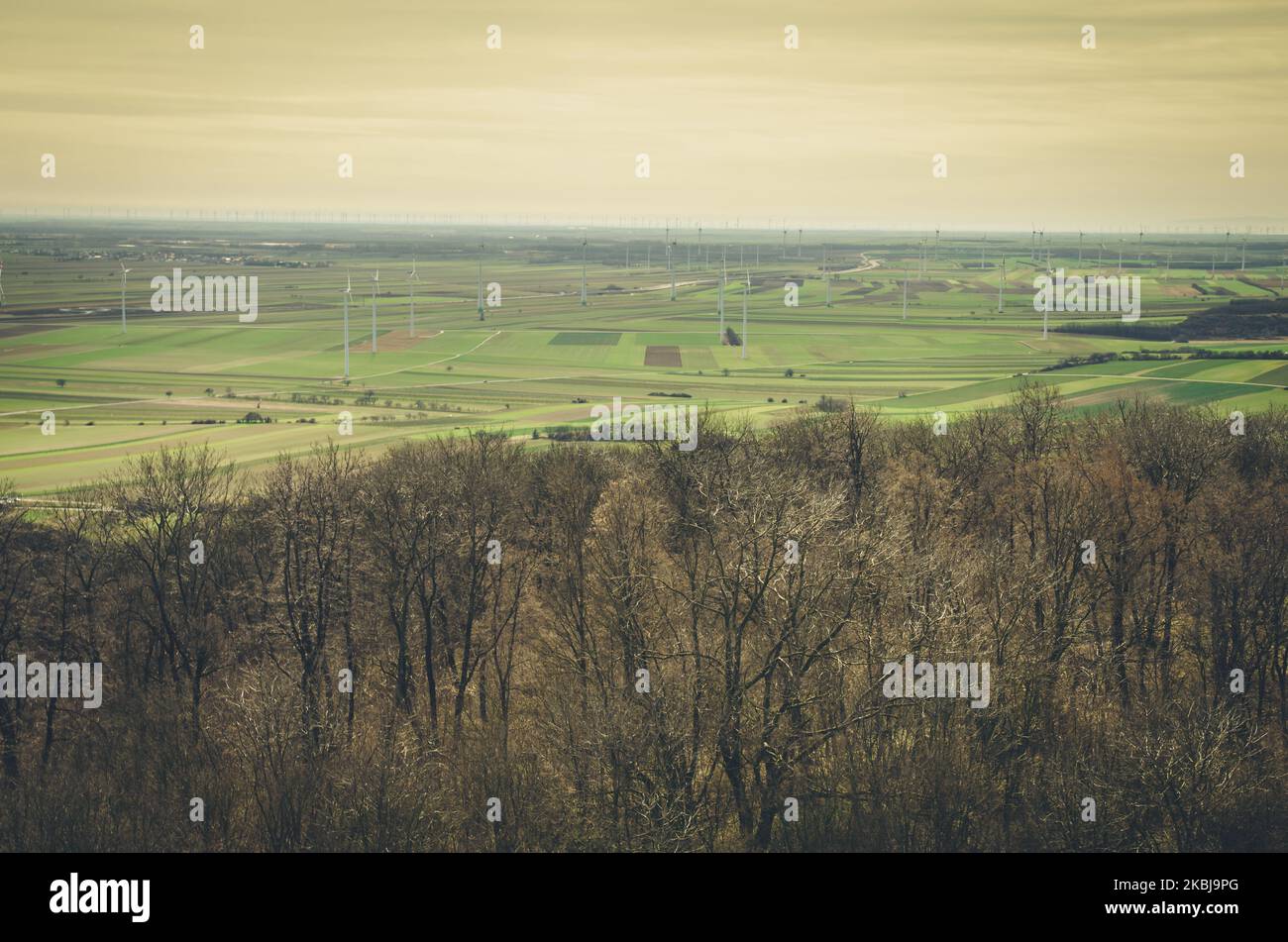 many windmills in the field near the village Stock Photo