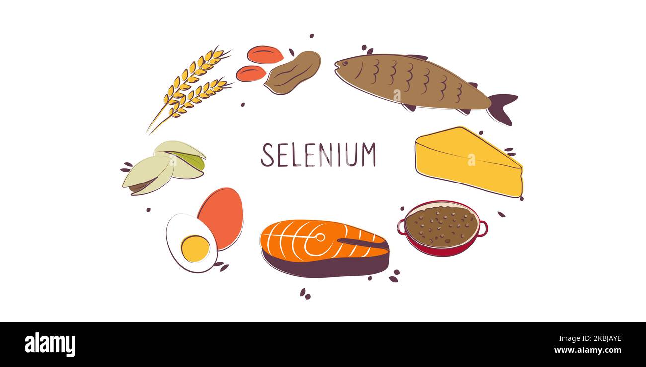 Seleniumcontaining food. Groups of healthy products containing