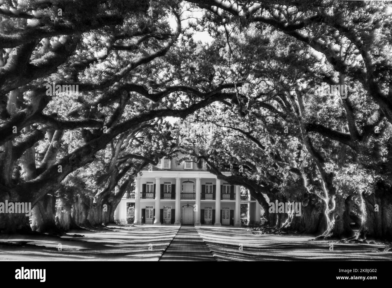 Southern plantation Black and White Stock Photos & Images Alamy