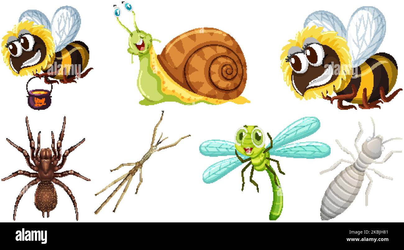 Collection of different insects vector illustration Stock Vector Image ...
