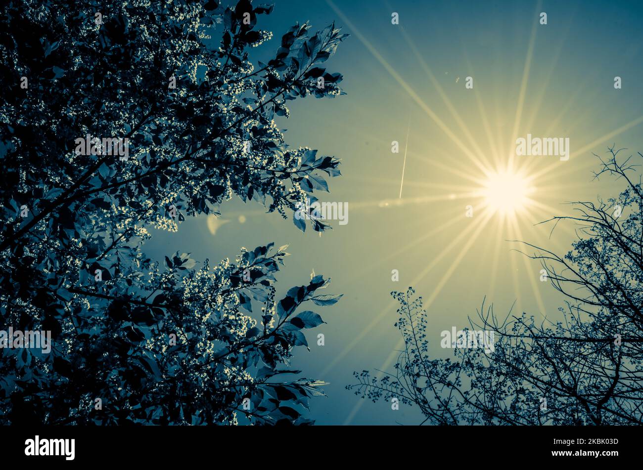 Shining sun in blue hi-res stock photography and images - Alamy