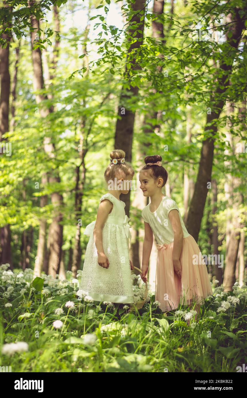 two beautiful little girls in spring forest full of white blossoming ...