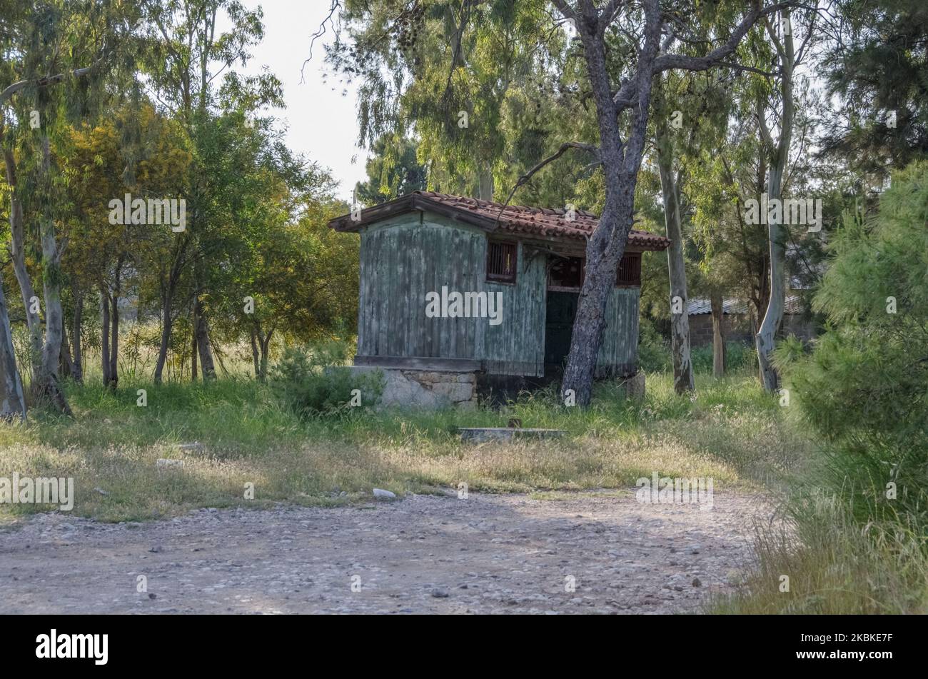 Small abandoned huts in the forest, Greece .Destroyed lonely little hut in forest. Forest hut. Mountain. Abandoned cabin Stock Photo