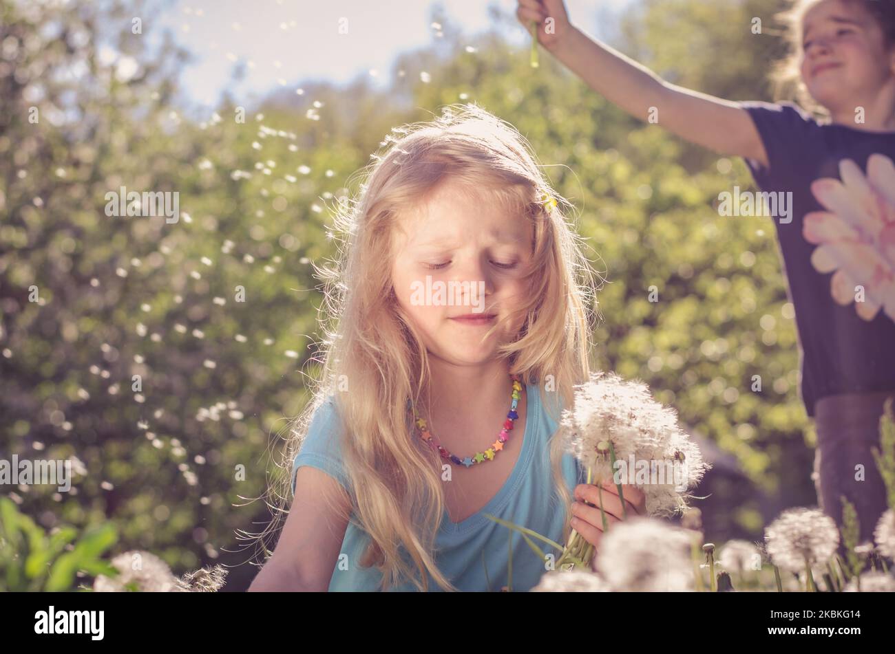 adorable little cute girls with long  hair having fun in white dandelion flower Stock Photo