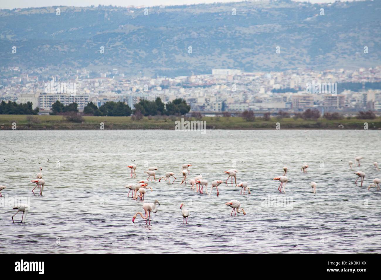 Axios loudias aliakmonas national park hires