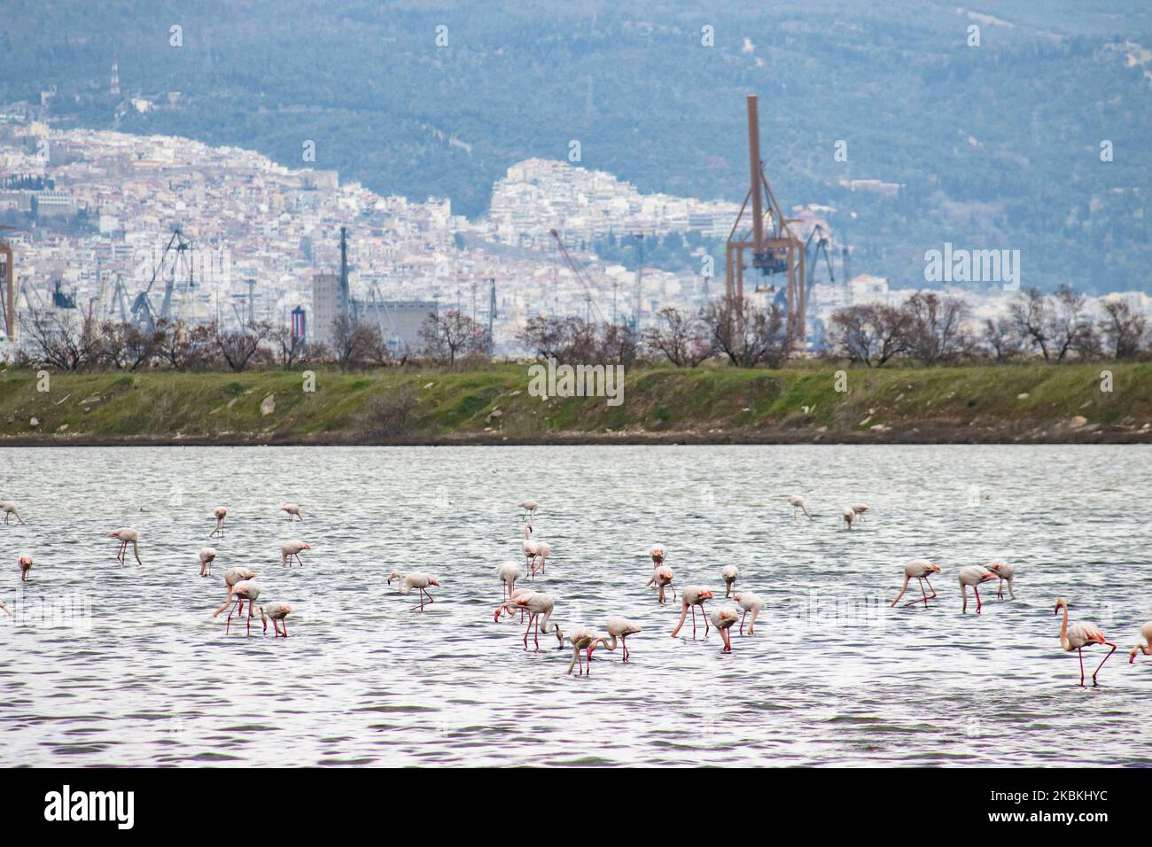 Axios loudias aliakmonas national park hires