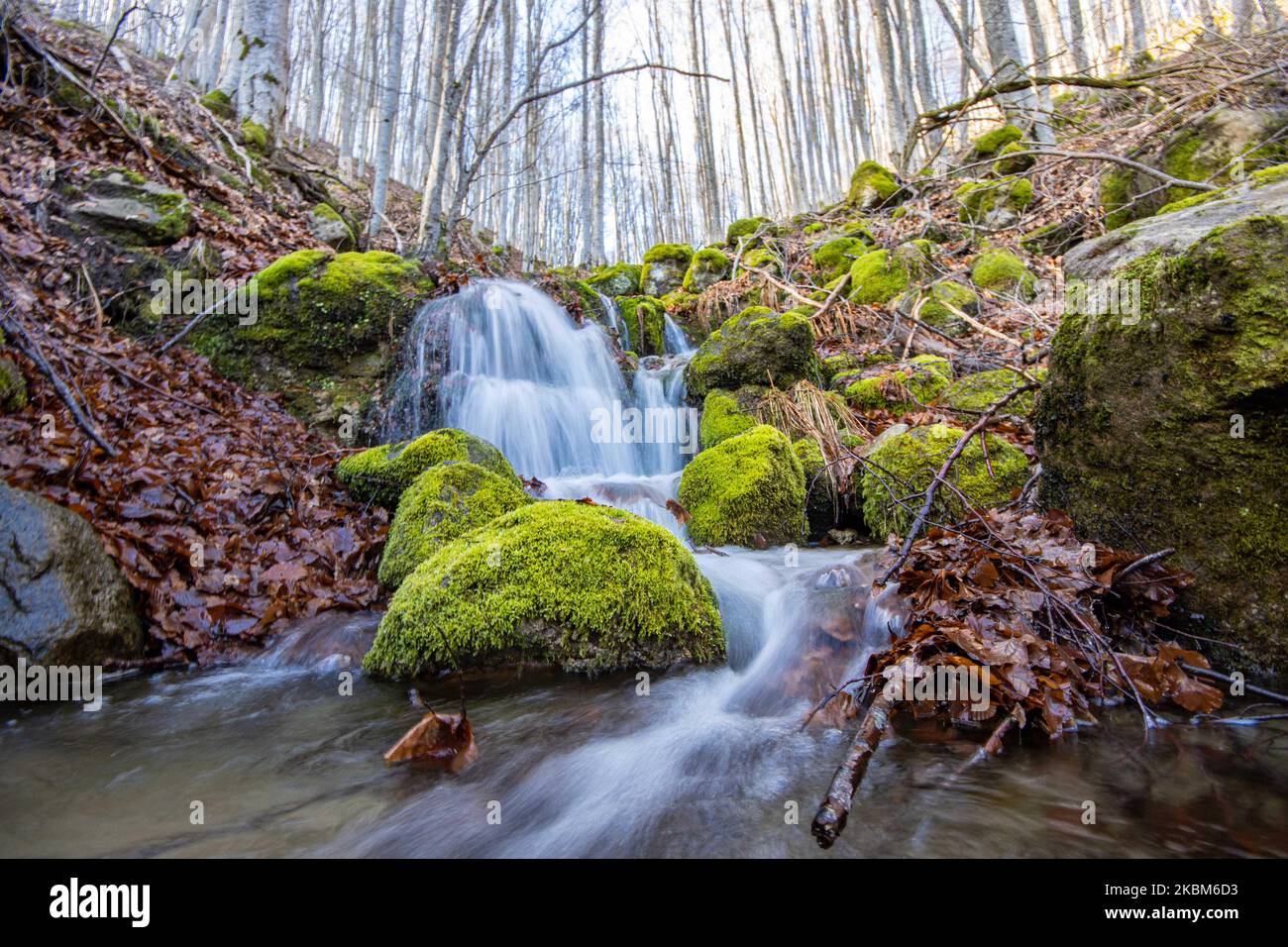 Small waterfall from a water stream leading to creek in the thick ...