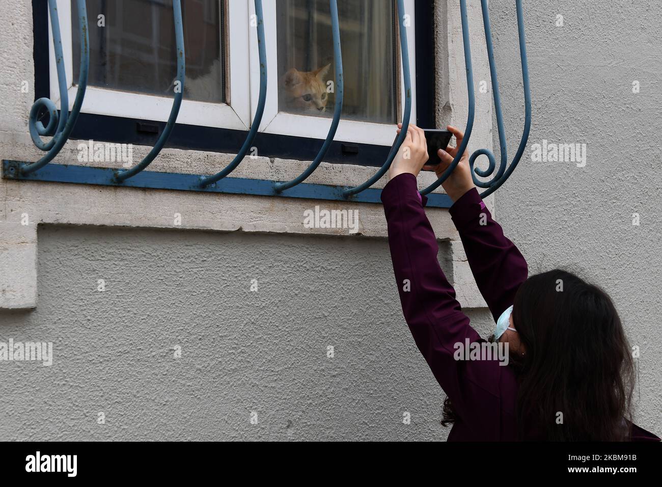 A woman photographs a cat in the window of a building during quarantine days, in Lisbon, 10 April 2020. The Portuguese Republican National Guard and animal protection groups have launched awareness campaigns to encourage people not to abandon their pets because of COVID-19, as a considerable number of animals have been left to their own fate due to fears that they could transmit the disease. However, new evidence indicates that cats may be infected with the new coronavirus. The information was provided by the Harbin Veterinary Research Institute, the leading animal research body in China. (Pho Stock Photo