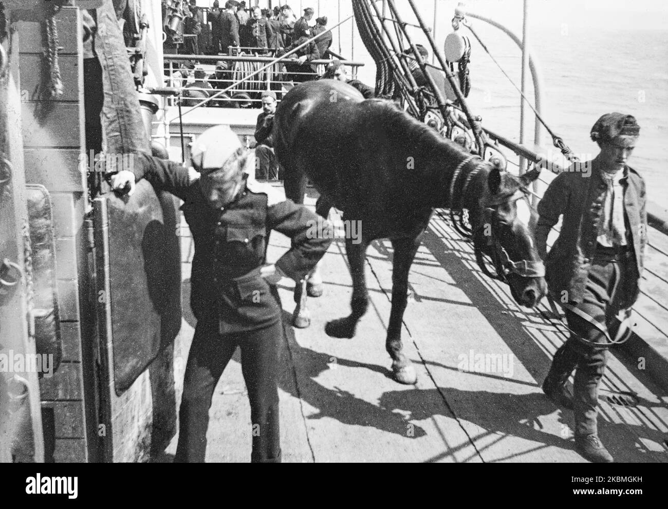 A horse is exercised around the deck of a ship, which is carrying troops and supplied for the British during The Boer War. Stock Photo