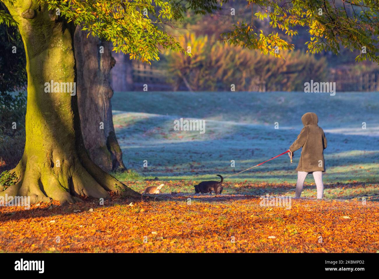 Preston, Lancashire. UK Weather 4 November, 2022.  Cold frosty, misty morning as the sun rises over the River Ribble and local residents take light exercise along the riverside walk in Avenham Park. Sunny spells are forecast after the first frost of Autumn. Stock Photo