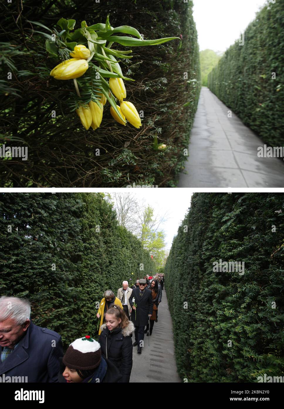 A combo of images showing at top Placed flowers empty National Dachau monument to remember 75 Years of the holocaust victims amid the Coronavirus pandemic on April 29, 2020 in Amsterdam,Netherlands and the members of the Jewish community pass by National Dachau monument in 2019. Every year the Dutch former prisoners of the Dachau concentration camp the liberation of the camp by American units, from 1933 to 1945, a total of 206,000 prisoners were housed in Dachau, including more than 2,000 Dutch. Official figures speak of 31,591 deaths. (Photo by Paulo Amorim/NurPhoto) Stock Photo