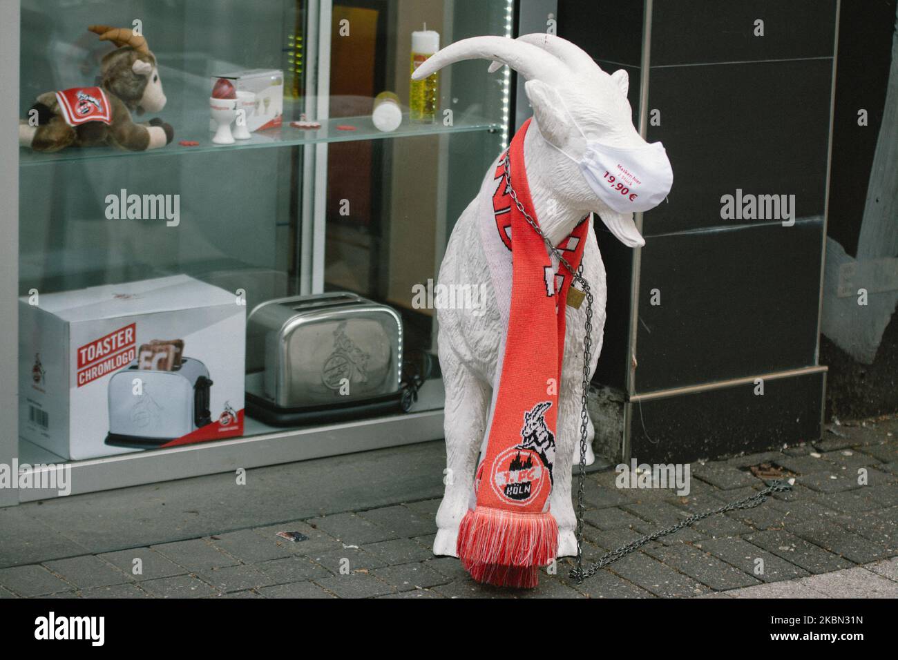 A billy goat which is local favorite Germany football Club 1 FC Cologne in Cologne, Germany on April 29, 2020, with face masks stands outside a store. (Photo by Ying Tang/NurPhoto) Stock Photo