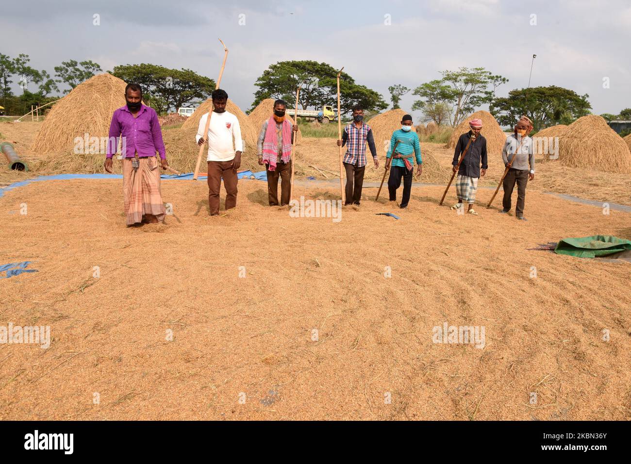Covid asia agriculture hires stock photography and images Alamy