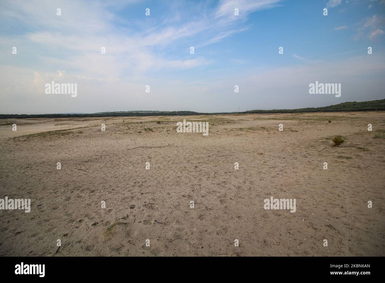 Bledow Desert (Pustynia Bledowska) area is seen near Klucze, Poland ...