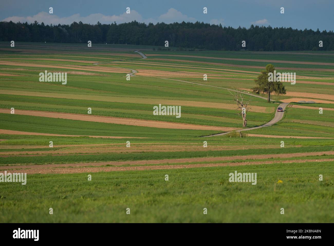 A view of colorful fields around Ojcow during changeable weather. May has brought rainy and sunny conditions throughout the day and colder temperatures, which will continue over the next few days. On Monday, May 4, 2020, in Ojcow, Krakow County, Poland. (Photo by Artur Widak/NurPhoto) Stock Photo