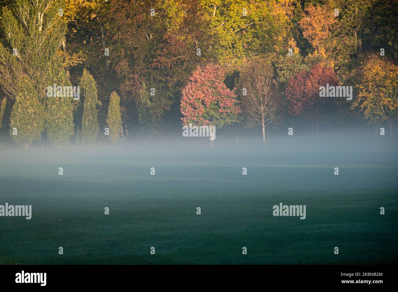 France, Lyon, 2022-10-19. A misty morning in a park with autumn coloured trees. Stock Photo