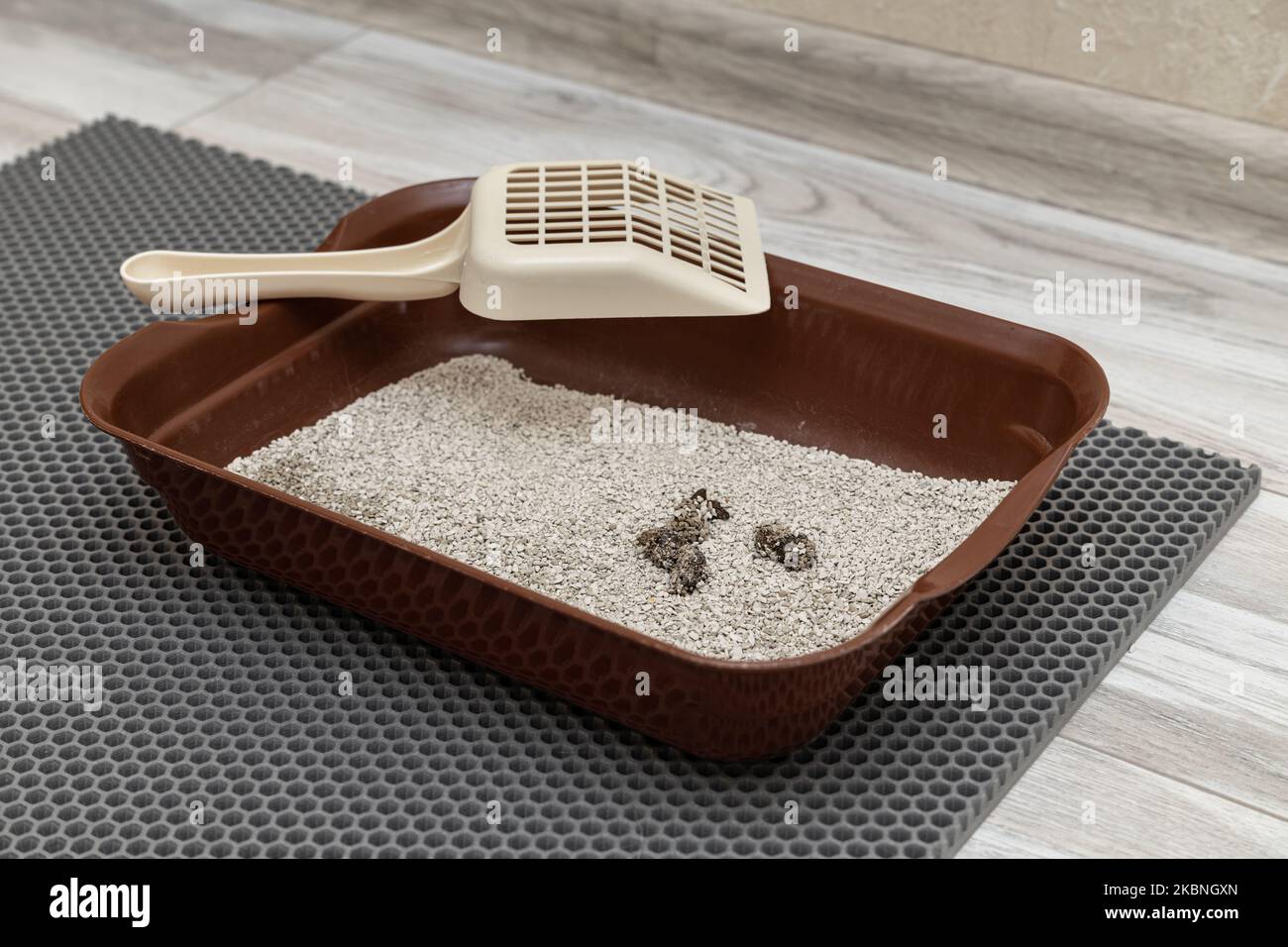 cat litter after the cat went into it Stock Photo Alamy
