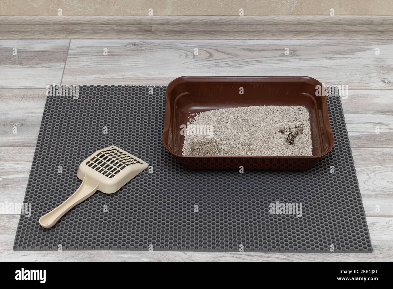 cat litter after the cat went into it Stock Photo Alamy