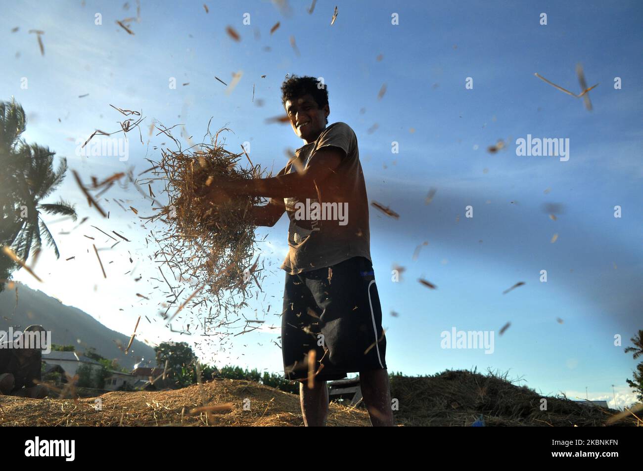 A farmer separating rice from straw utilizes a gust of wind in Keleke ...