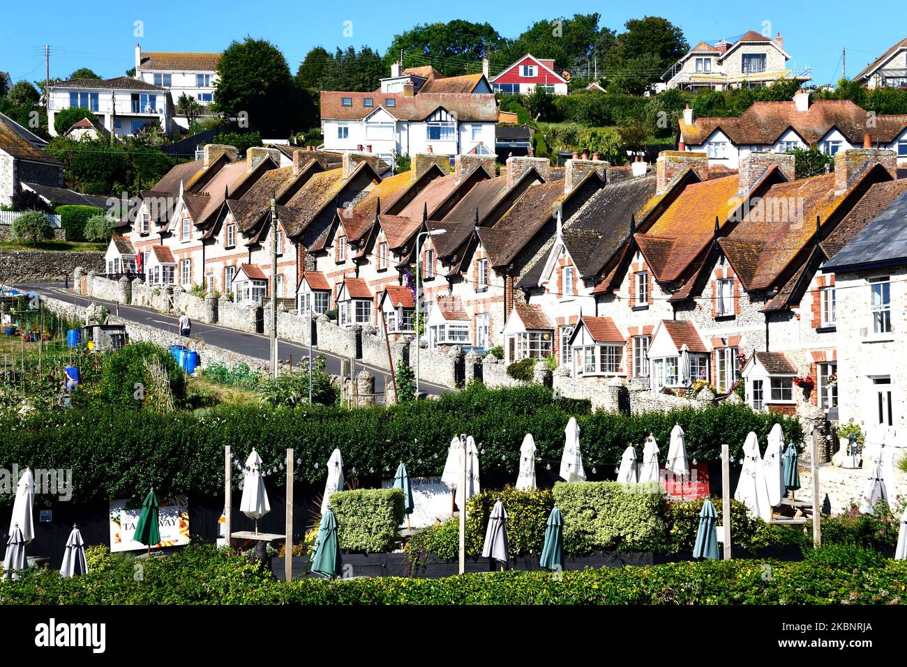 Elevated view of the houses along Common Lane, Beer, Devon, UK, Europe