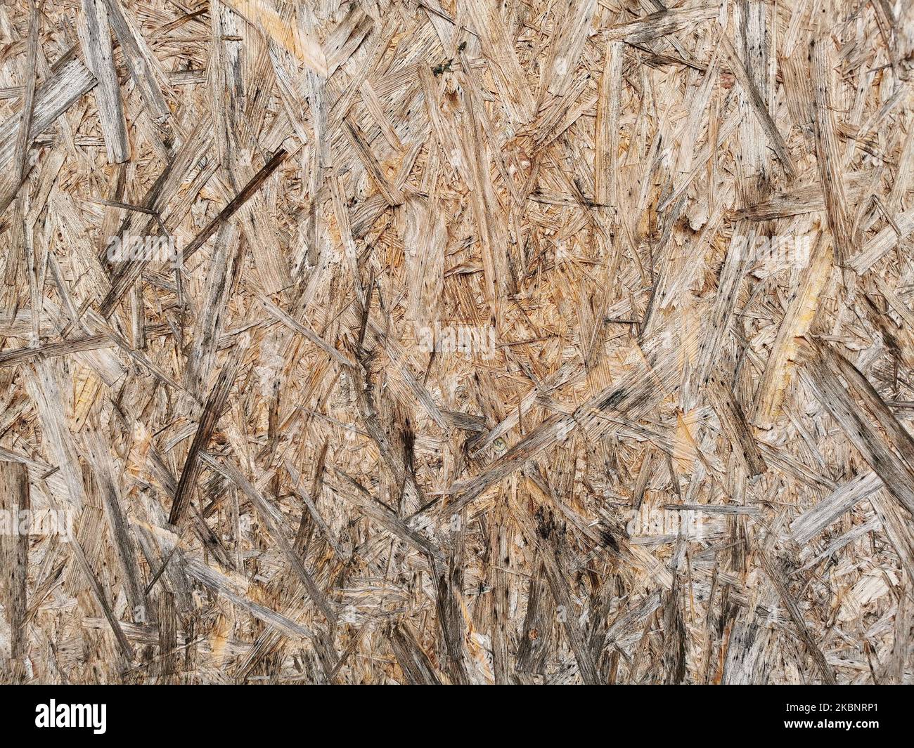 Particleboard wooden wet surface. Background and texture of OSB or MDF