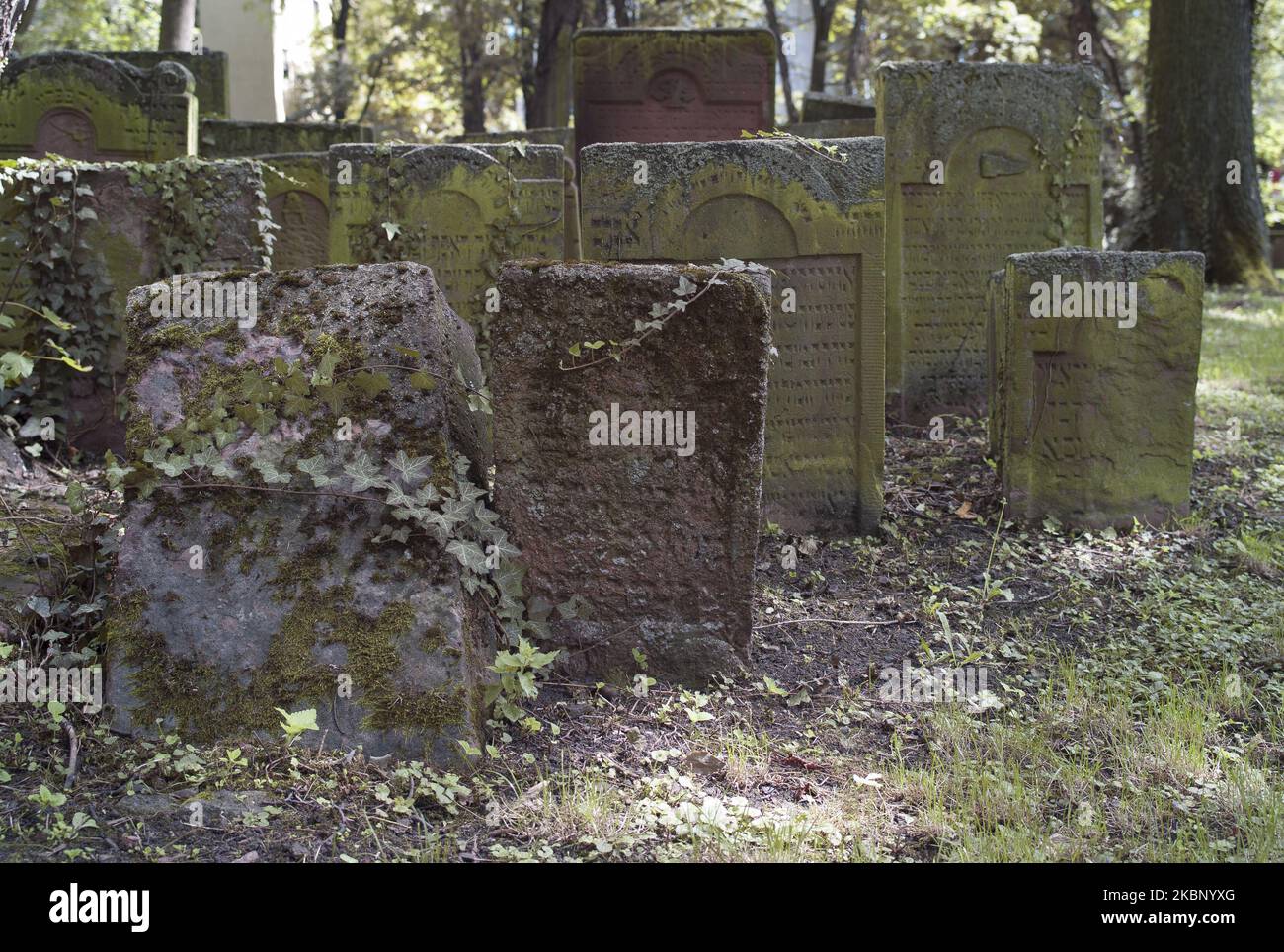 The Frankfurt Jewish Historical Cemetery in Germany, It was opened in 1272. It is surrounded by a long concrete wall, on which are inscribed the names of hundreds of Jews, who died from the second world war, Frankfurt. Germany (Photo by Oscar Gonzalez/NurPhoto) Stock Photo