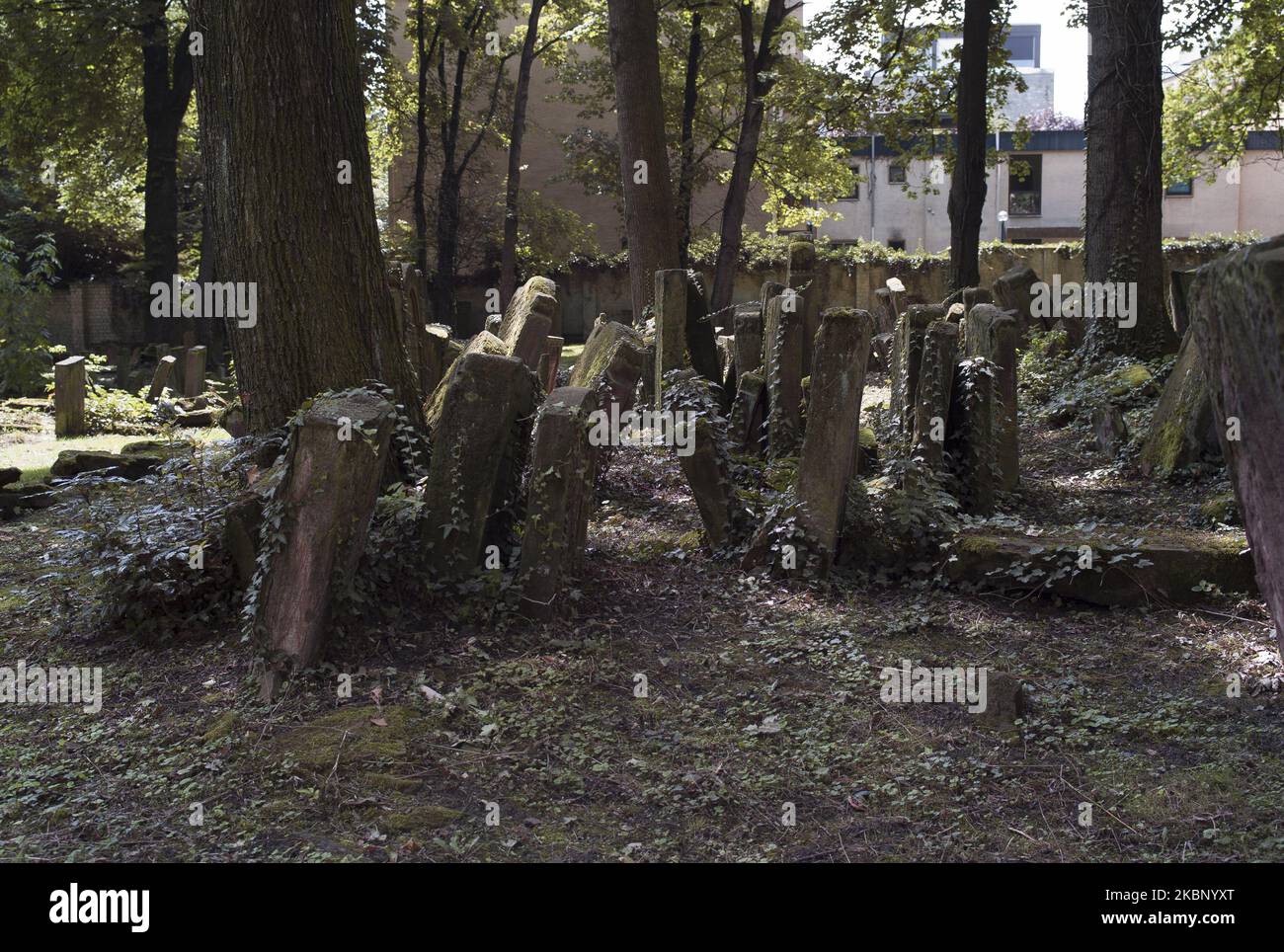 The Frankfurt Jewish Historical Cemetery in Germany, It was opened in 1272. It is surrounded by a long concrete wall, on which are inscribed the names of hundreds of Jews, who died from the second world war, Frankfurt. Germany (Photo by Oscar Gonzalez/NurPhoto) Stock Photo