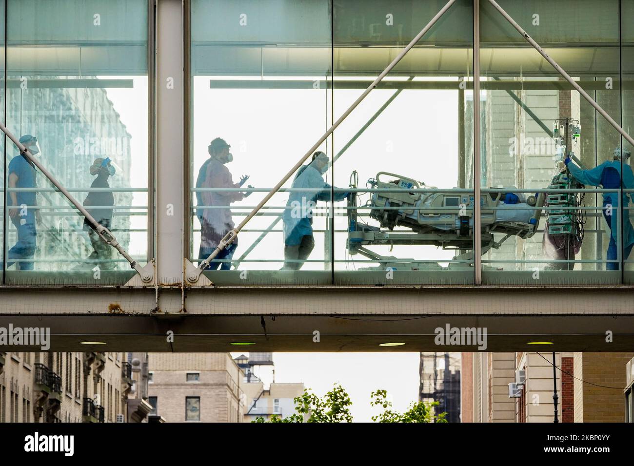 Mt sinai hospital hires stock photography and images Alamy