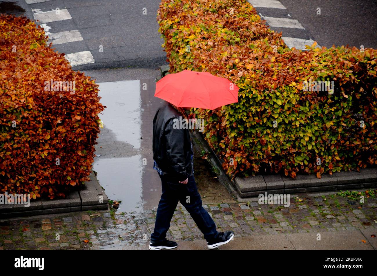 Kastrup/Copenahgen /Denmark/04.November 2022/ Person walks under